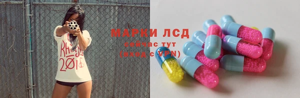 прущие грибы Наволоки