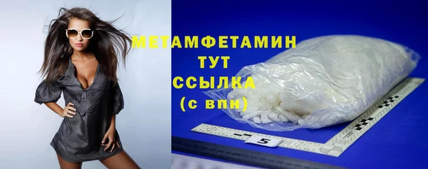 прущие грибы Наволоки
