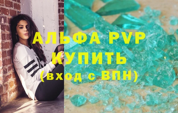 прущие грибы Наволоки
