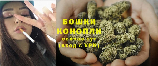 соль ск Заречный