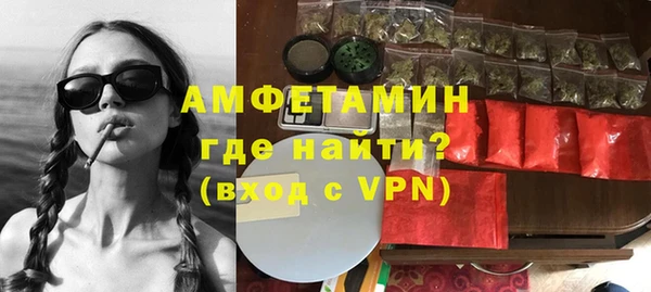 прущие грибы Наволоки