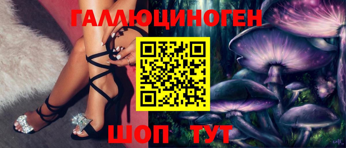Псилоцибиновые грибы Psilocybine cubensis  Вход с VPN  Кимовск 