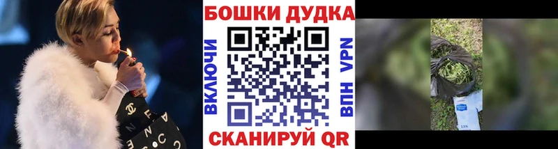 Шишки марихуана SATIVA & INDICA  как найти наркотики  Кимовск 